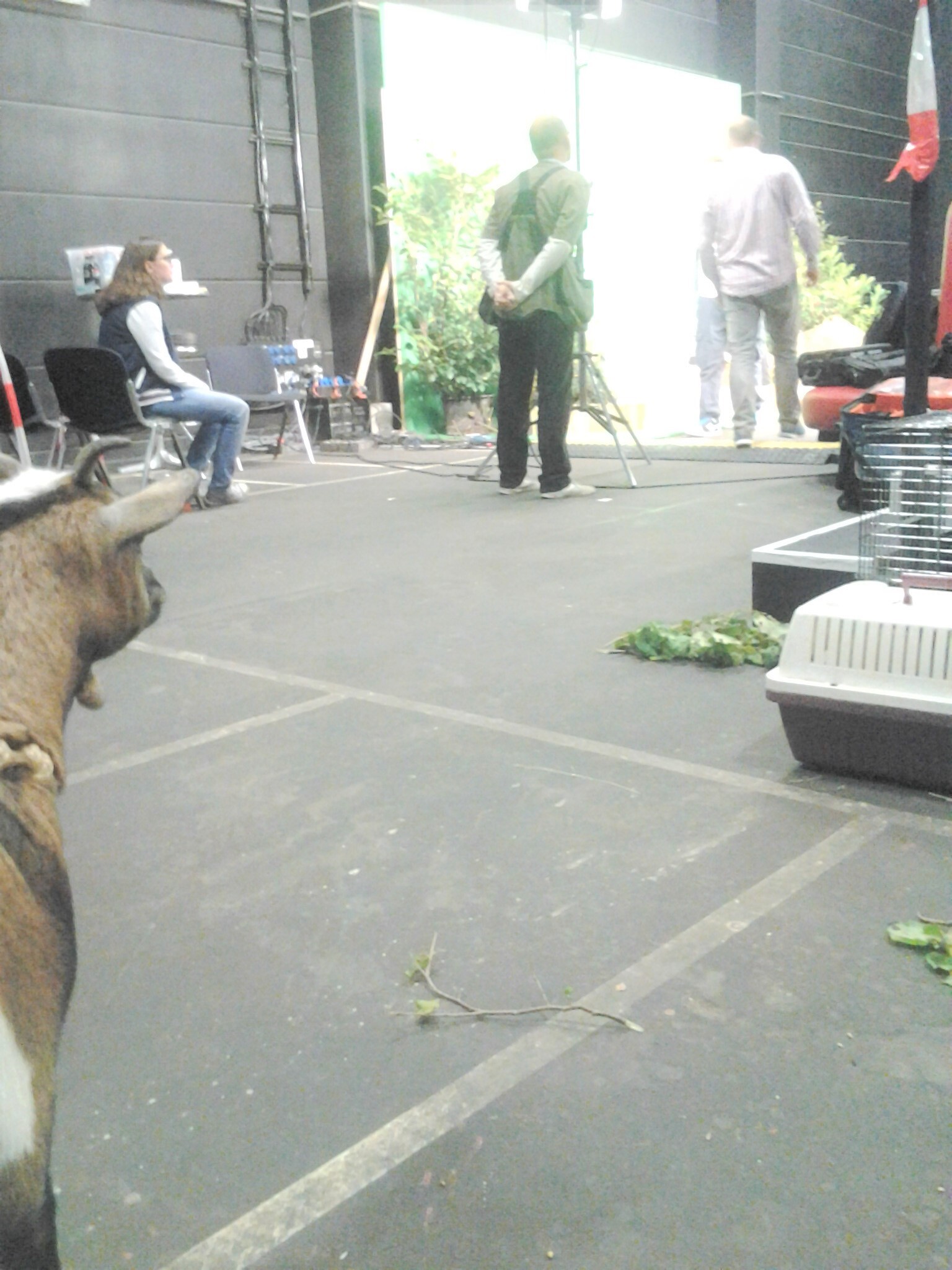 Püppi wartet auf ihre Szene